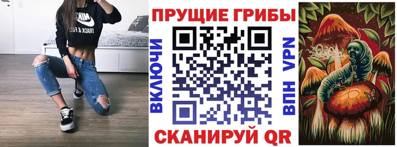Галлюциногенные грибы Psilocybe  Шацк 